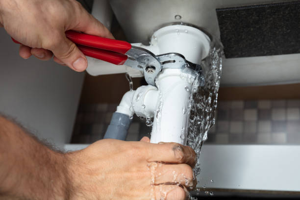 Best Water damage restoration mold remediation  in Indian Head, MD