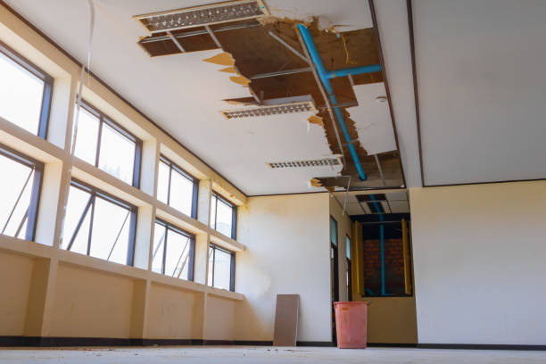 Best Water damage restoration near me  in Indian Head, MD