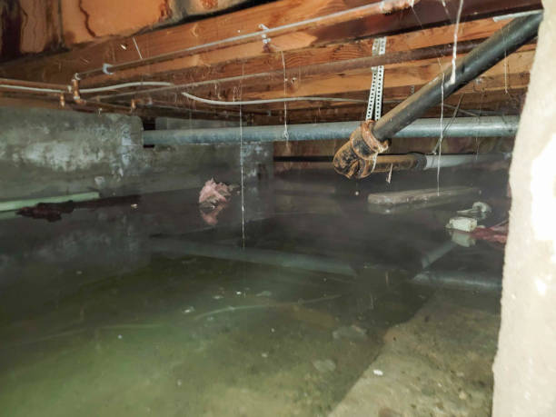  Indian Head, MD Water damage restoration Pros