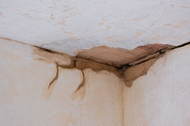 Best Water damage restoration near me  in Indian Head, MD