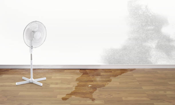 Best Residential water damage restoration  in Indian Head, MD