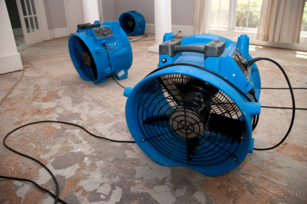 Best Water damage contractors near me  in Indian Head, MD