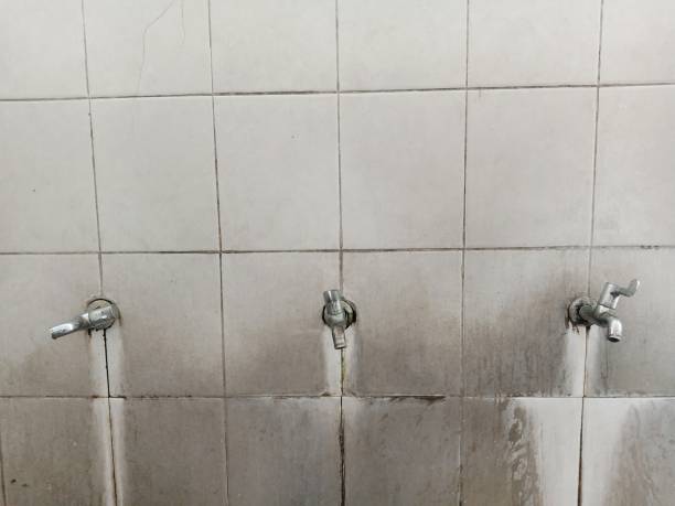 Best 24/7 water damage repair  in Indian Head, MD