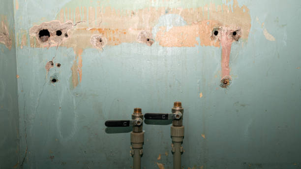 Best Fire Damage Restoration  in Indian Head, MD
