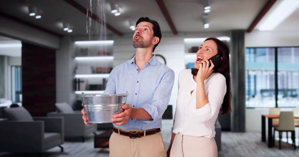 Best Flood restoration services  in Indian Head, MD