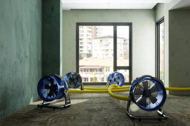 Best Water damage restoration specialists  in Indian Head, MD